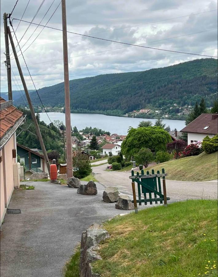 Duplex Avec Terrasse Entierement Equipe60m2 Gerardmer